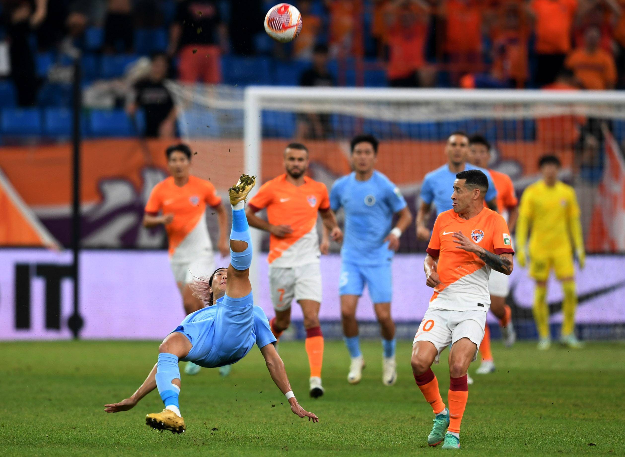 发掘他们的 发掘他们的