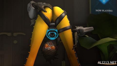 仪式与球队 仪式与球队