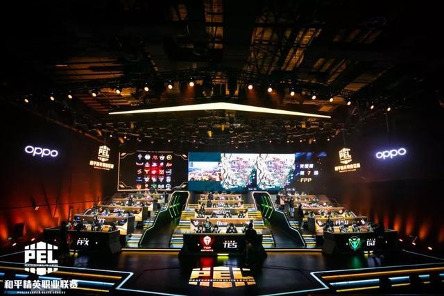 他的组织能 他的组织能