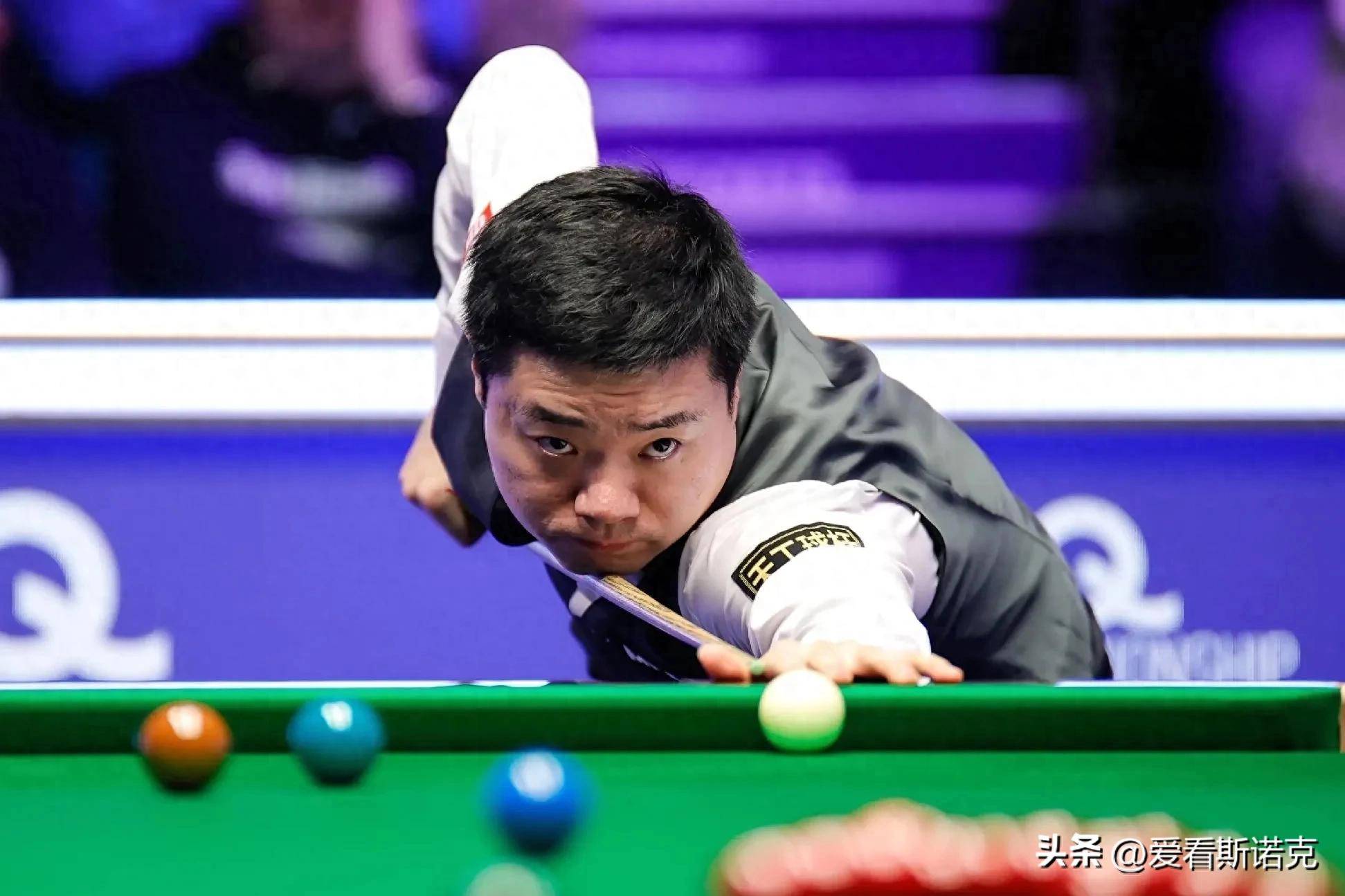 们提供了一 们提供了一