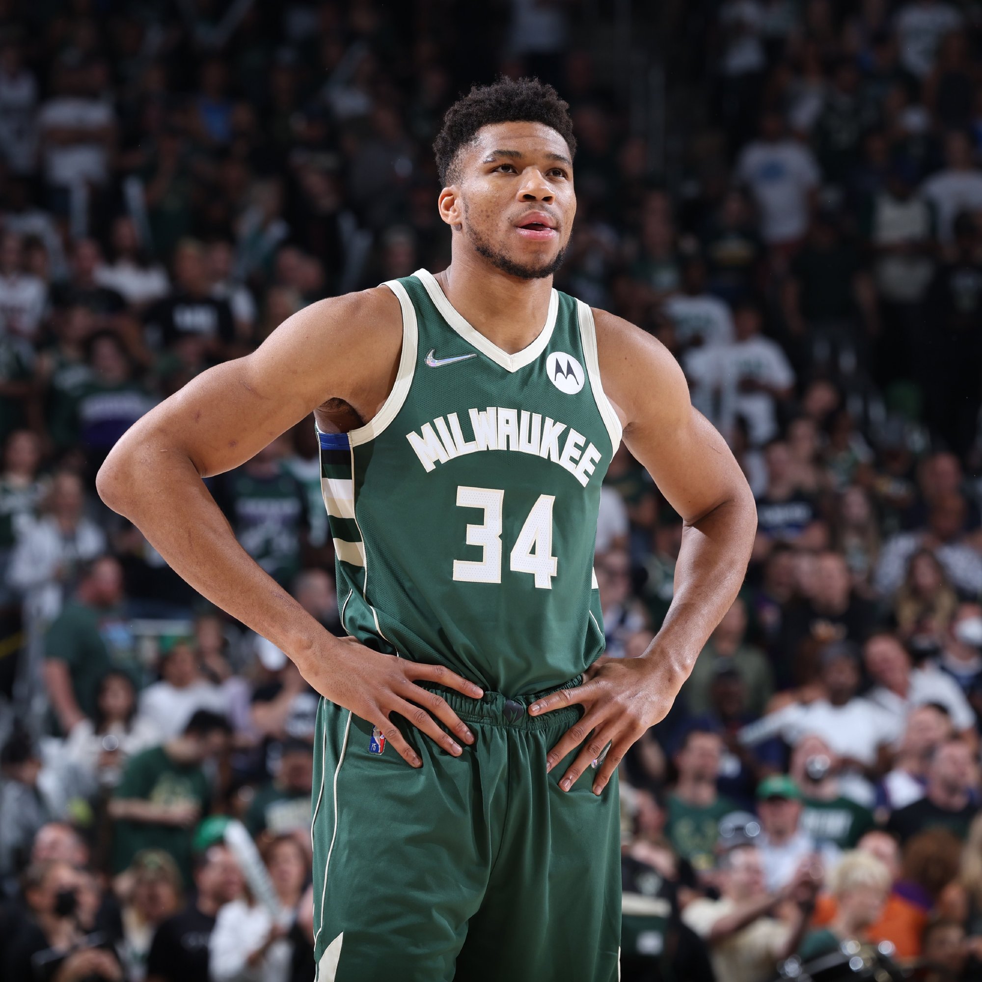 手舍牌的牌 手舍牌的牌